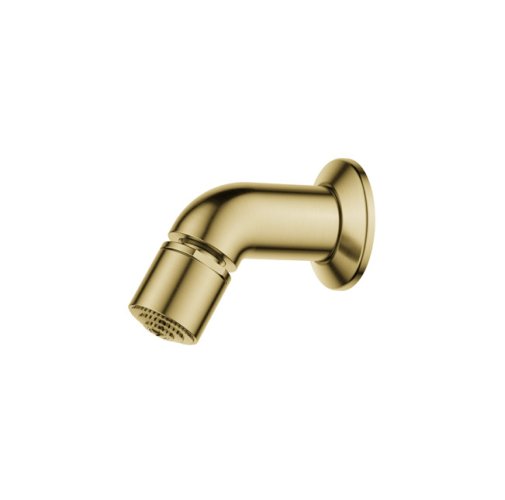 Đầu Vòi Sen Tắm F 1S52-BB